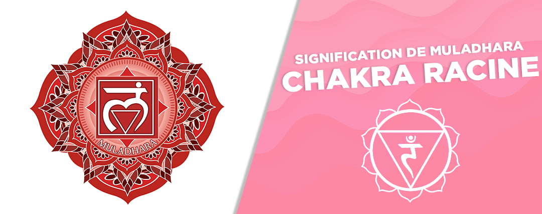CHAKRA RACINE (MULADHARA) – SIGNIFICATION